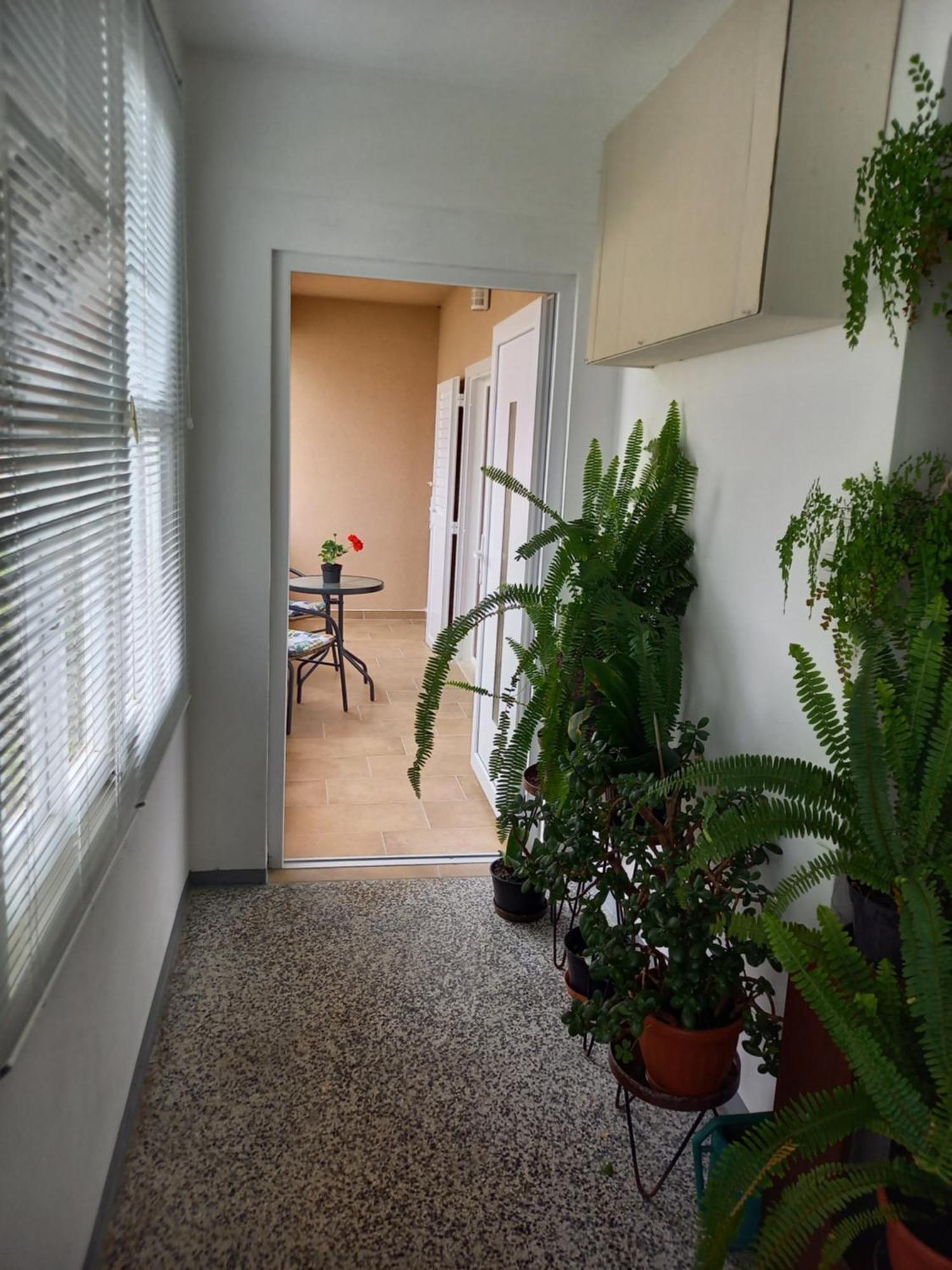 Summer Rooms Baska Bagian luar foto